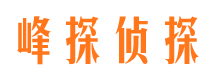 呼兰寻人公司